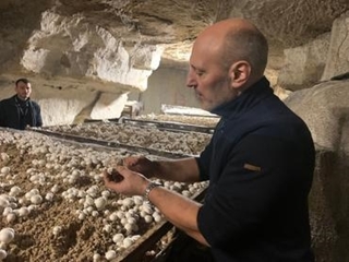 Grégory Spinelli, producteur de champignons dans le Val d'Oise : « Nous ne sommes plus que quatre producteurs franciliens »