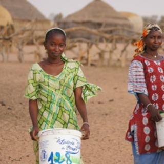 Un sommet mondial à Paris pour un lait plus durable