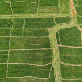 Comment vendre des terres agricoles ?