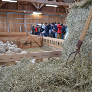 Erasmus + : Horizon sur l'Europe pour les jeunes scolarisés en filière agricole