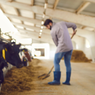 43% des agriculteurs gagnent moins qu’un Smic