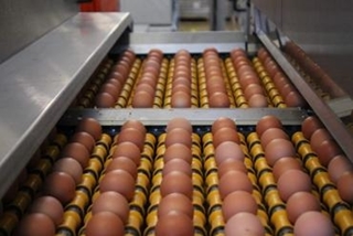 Un marché de l’œuf atone avant le pont à rallonge