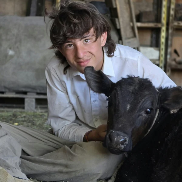 Comment devenir agriculteur : diplômes, modalités, installation, aides existantes, reprise d’exploitation… 