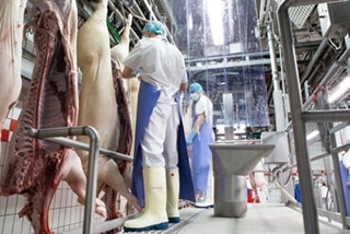 Les industriels de la filière porcine bretonne face à la contraction des marchés