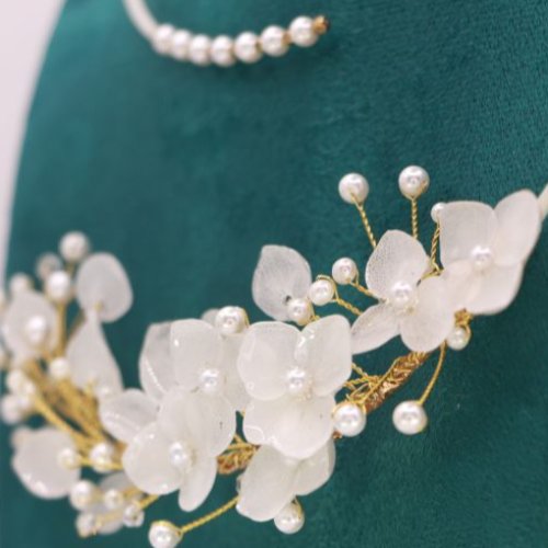 Ensemble des collections