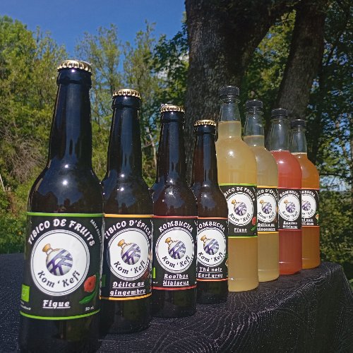 Kombucha & Tibico