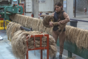 Alliance du Lin et du Chanvre européens 4