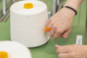 Alliance du Lin et du Chanvre européens 6