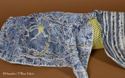 Visions Denim PV Hasseler / F'Blue Fabric