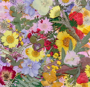 GruppoCinque PV Paris Feb26