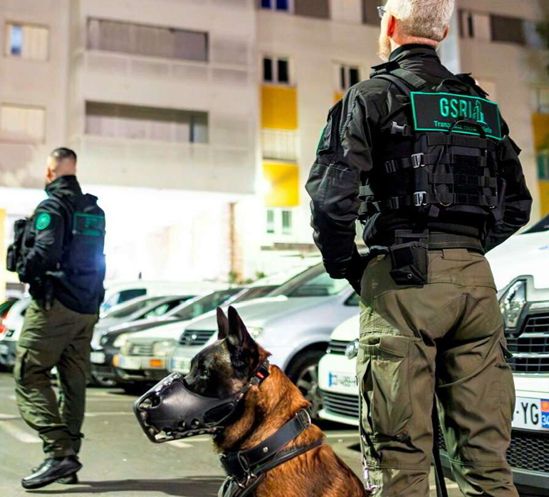 Des débuts hauts en couleur pour le GSRI-3M