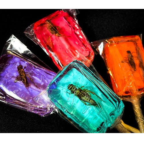 sucettes aux insectes