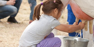 ROBOT DE TRAITE - COMMENT FONCTIONNE CETTE TECHNOLOGIE AU SERVICE DES VACHES ?