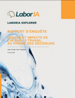 Usage et impact de l'IA au travail au prisme des décideurs (2023)