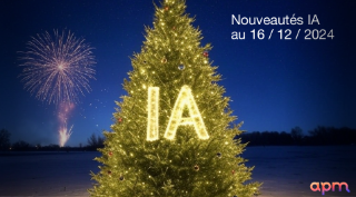 Veille IA décembre 2024 Jérôme coutou