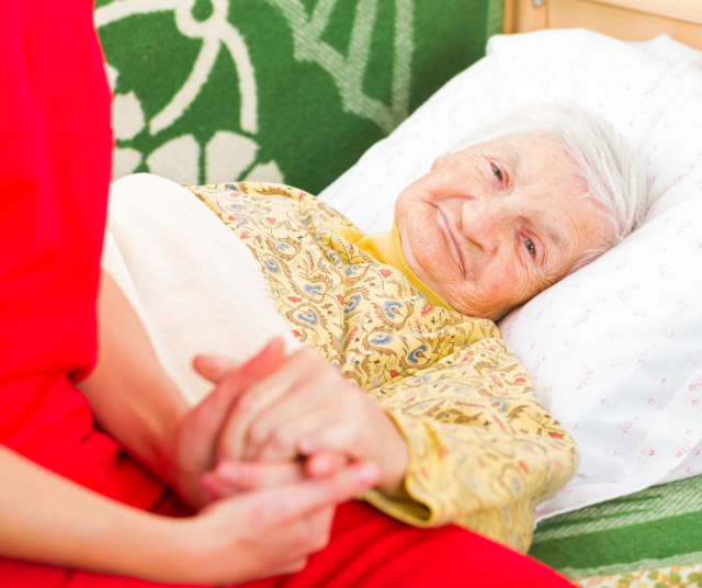 Maraude de Nuit et Surveillance 24h/24