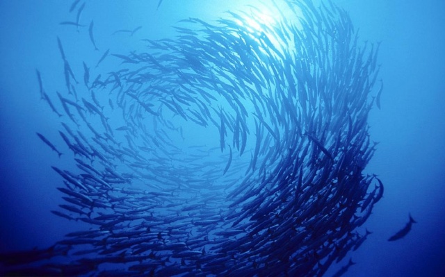 Lutte contre les Menaces Environnementales Majeures