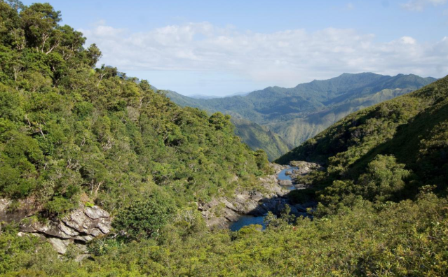 Conservation et Restauration des Habitats Naturels