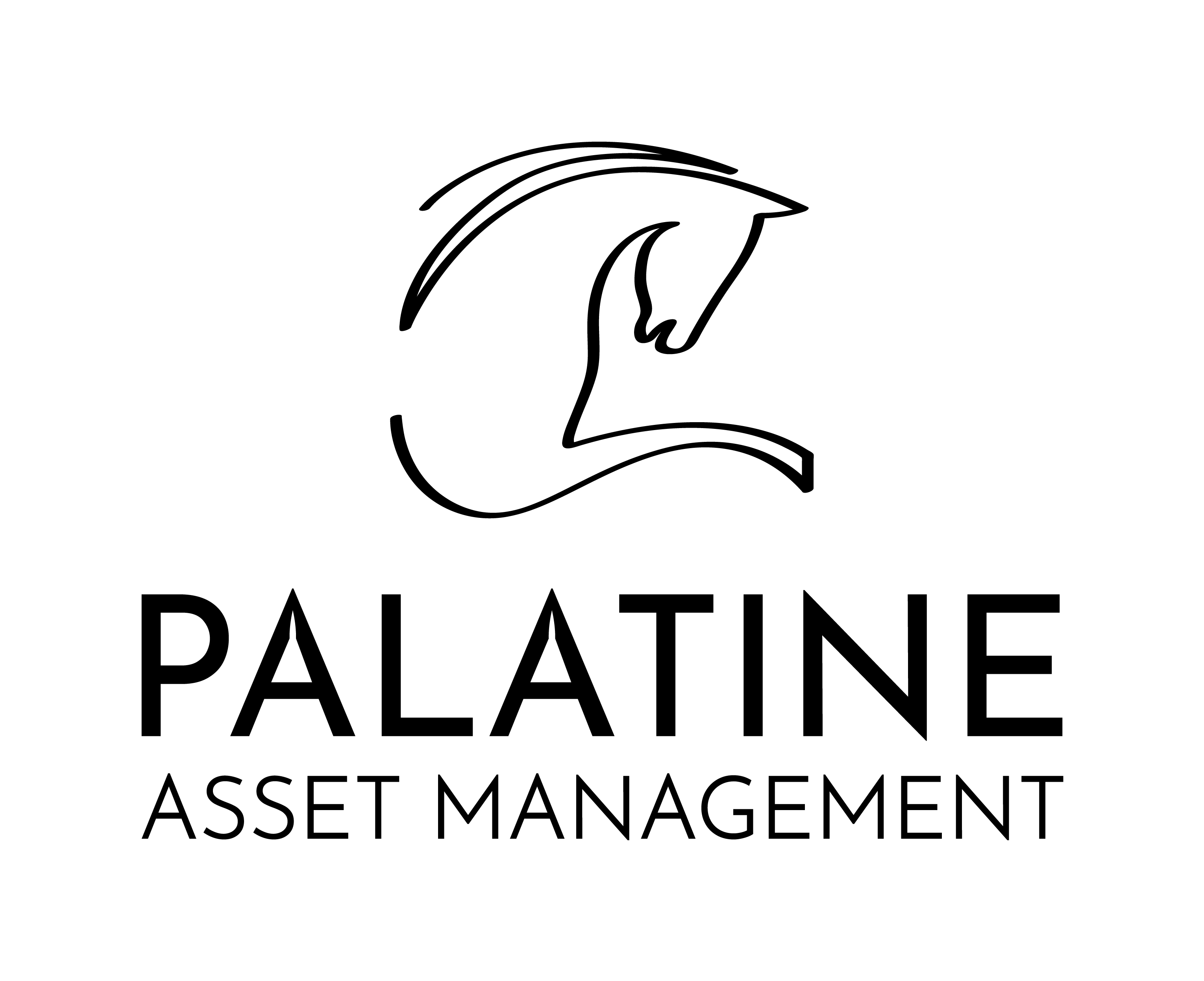 Palatine Asset Management 
