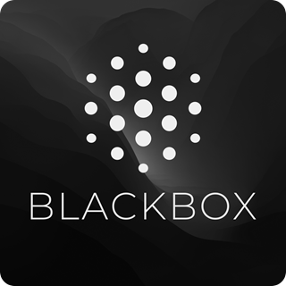BLACKBOX AI
