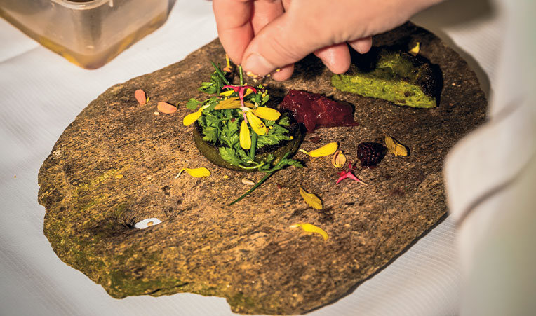 David Burgarella, Aubrac to the future 