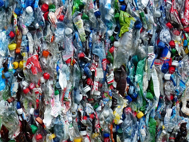 Photographie des bouteilles plastiques à recycler