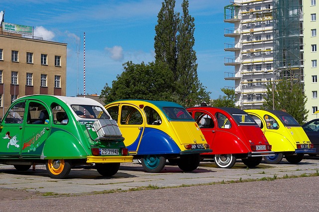 PLUSIEURS COCCINELLES, LES VOITURES