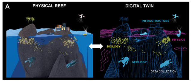 Représentation du projet de jumeau numérique du récif corallien