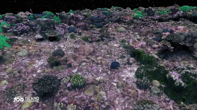 Réplique virtuelle en 3D de coraux © Siemens DI SW