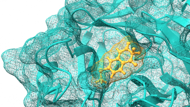 Protéase principale du SARS-CoV-2 (Mpro) © Qubit Pharmaceuticals