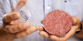 Signal Faible Juin 2025 :  La viande cultivée fait son entrée sur le marché en Australie et Nouvelle-Zélande
