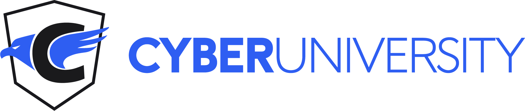 Cyber University