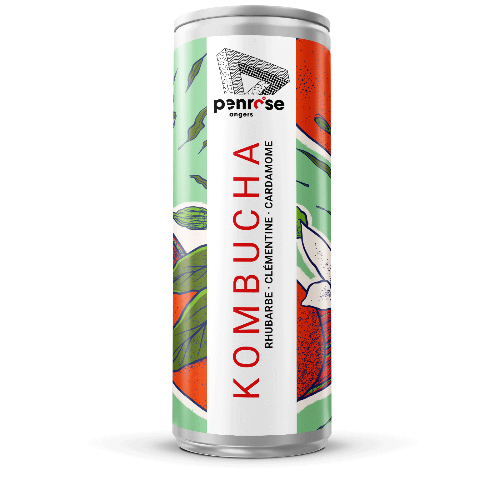Kombucha - Rhubarbe, Clémentine & Cardamome - BIO