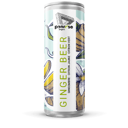 Ginger Beer – Gingembre, Citrons vert & jaune - BIO