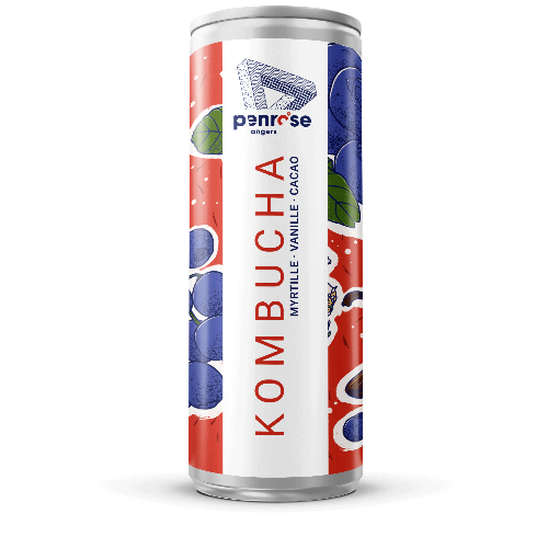 Kombucha - Myrtille Vanille - BIO