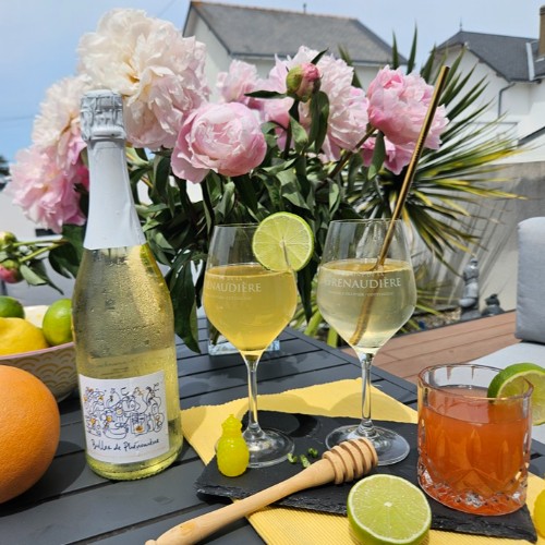 BULLE DE PHÉNOMÈNE