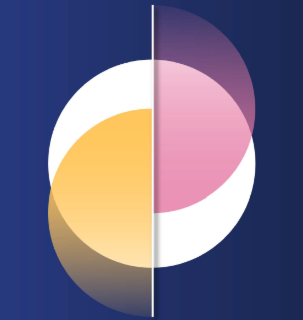 OECD Forum on Gender Equality: Harnessing the Digital Transformation for All