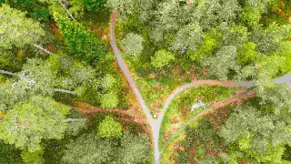 OECD Conference on the Future of International Development Co-operation