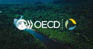 OECD COP30 Virtual Pavilion