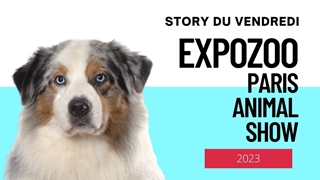 Paris animal show - vendredi