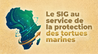 Le SIG au service de la protection des tortues marines : l'action de Te Mana o Te Moana