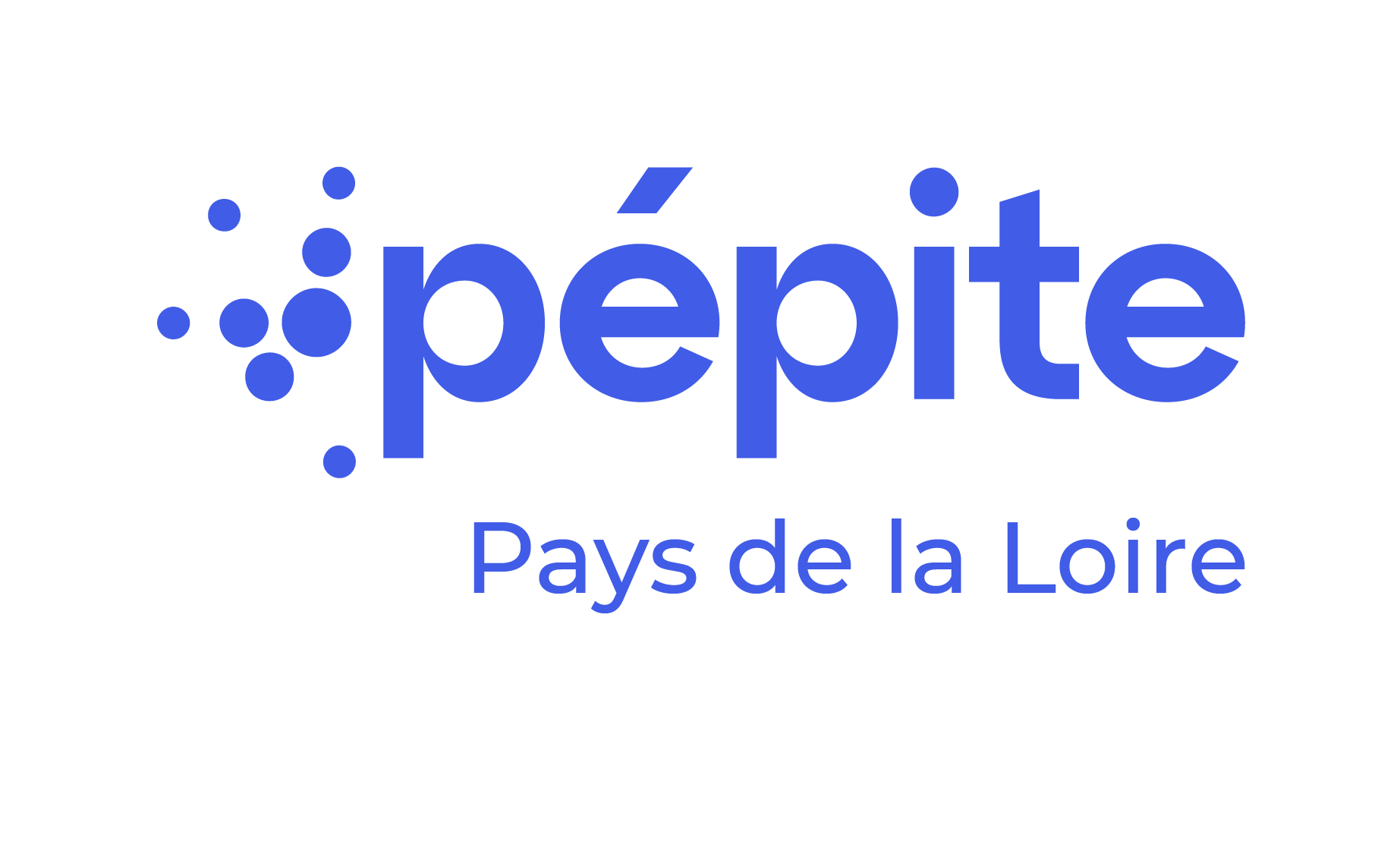 Pépite Pays de la Loire