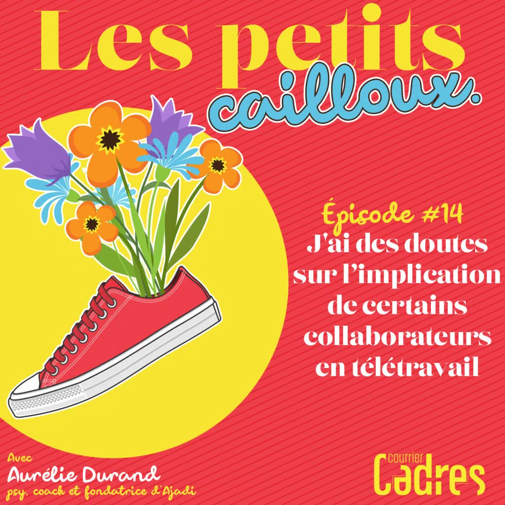 Les petits cailloux - Episode 14 : J'ai des doutes sur l’implication de certains collaborateurs en télétravail
