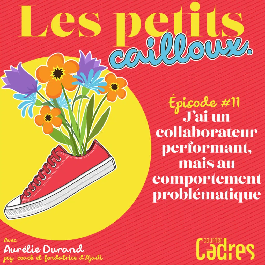 Les petits cailloux - Episode 11 : J’ai un collaborateur performant, mais au comportement problématique