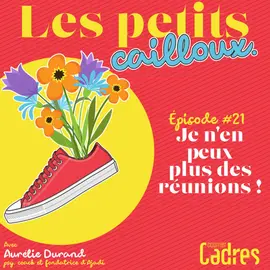 Les petits cailloux - Episode 21 : Je n’en peux plus des réunions !
