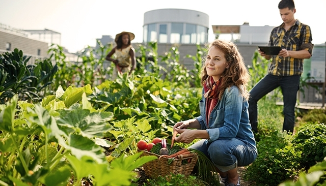 L'agriculture urbaine