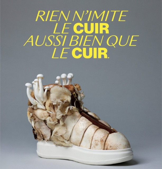 campagne de communication Alliance France Cuir