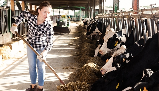 féminisation de l'agriculture