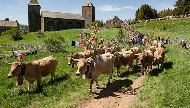 Transhumance