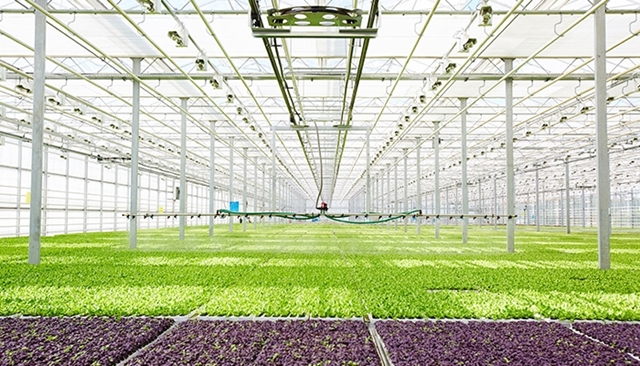 Les solutions de gestion durable de l'eau en agriculture